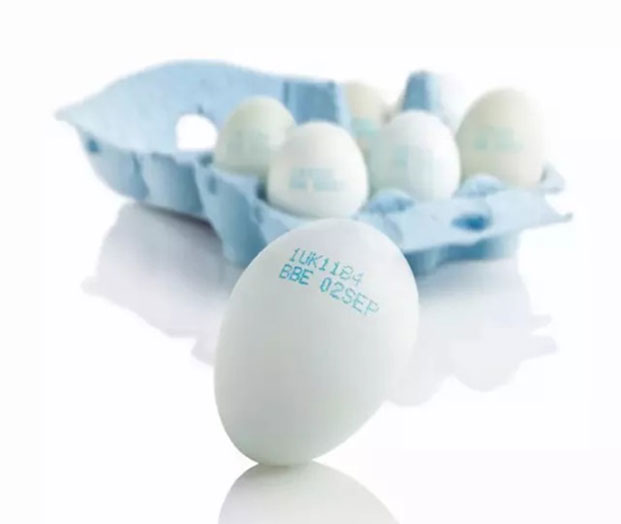 剖析喷码机在鸡蛋上所使用的墨水是否真的合规？