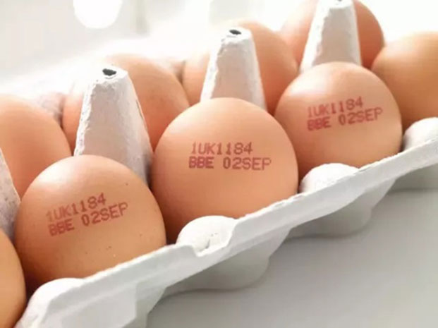 生产商必需相识小字符鸡蛋喷码机在使用中泛起散点的因素是什么？