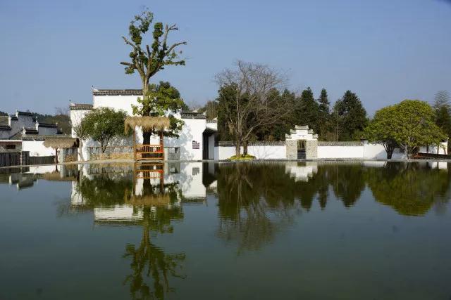 旅馆治理与数字化运营